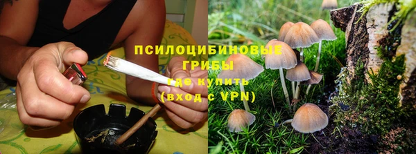 мдпв Арсеньев